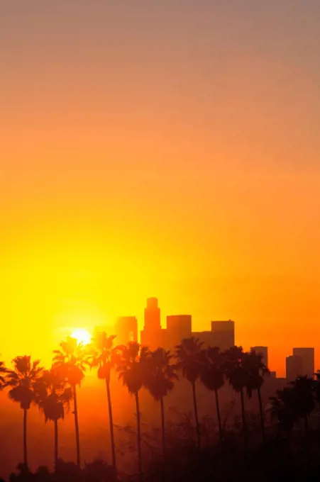 Los Angeles Skyline, California (LA)