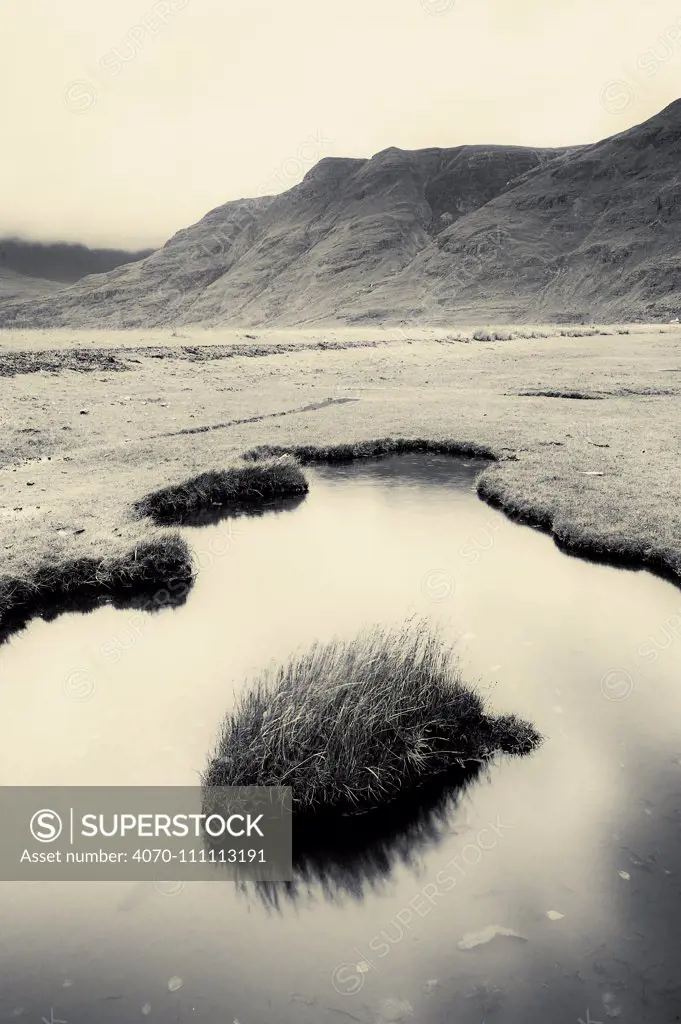 Black and white photograph of saltmarsh at Annat, Beinn Torridon, Scotland, UK, November.