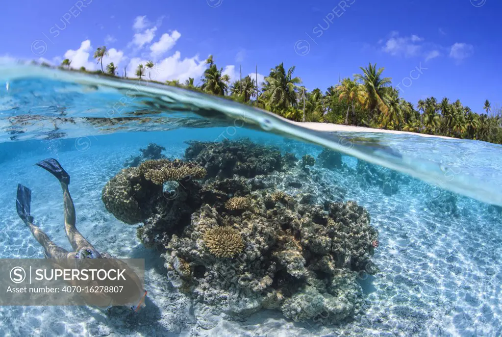 Woman snorkeller swimming inside lagoon Toau atoll, Tuamotu Archipelago, French Polynesia, Pacific Ocean.