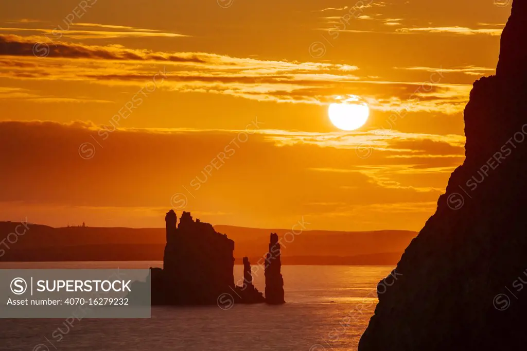 The Drongs sea stacks silhouetted at sunset, Hillswick, Northmavine, Shetland, Shetland Isles, Scotland, UK. August 2014.