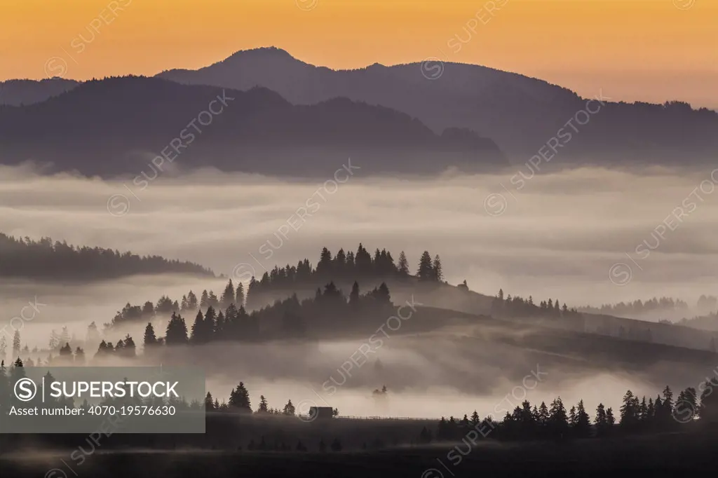 Valley fog in Pieniny Mountains at dawn. Poland. October 2015.