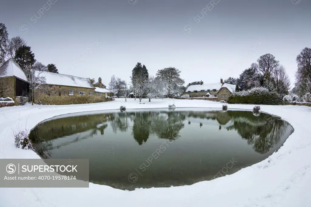 Village pond in winter, Ashmore, Cranborne Chase, Dorset, England, UK, March.