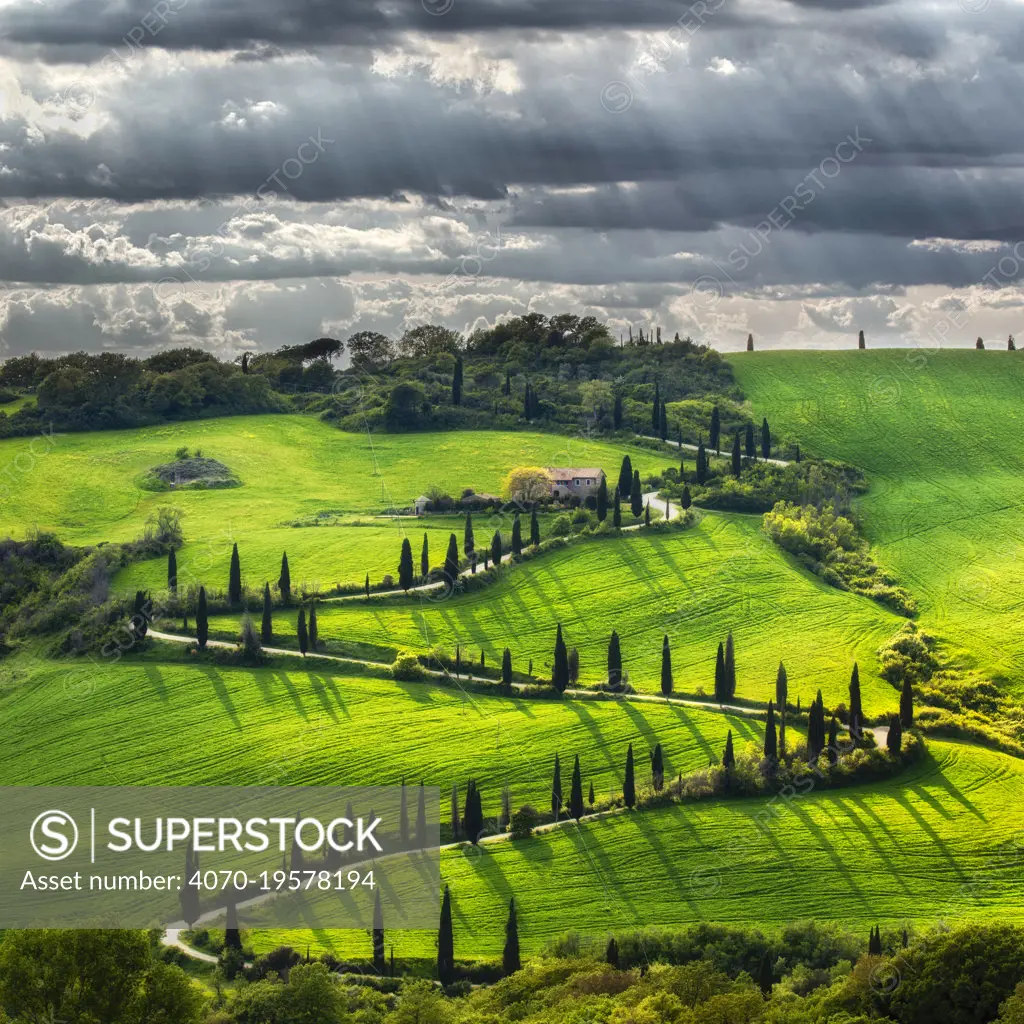 Landscape of farmland with Cypress trees, Tuscany, Italy. May 2019.