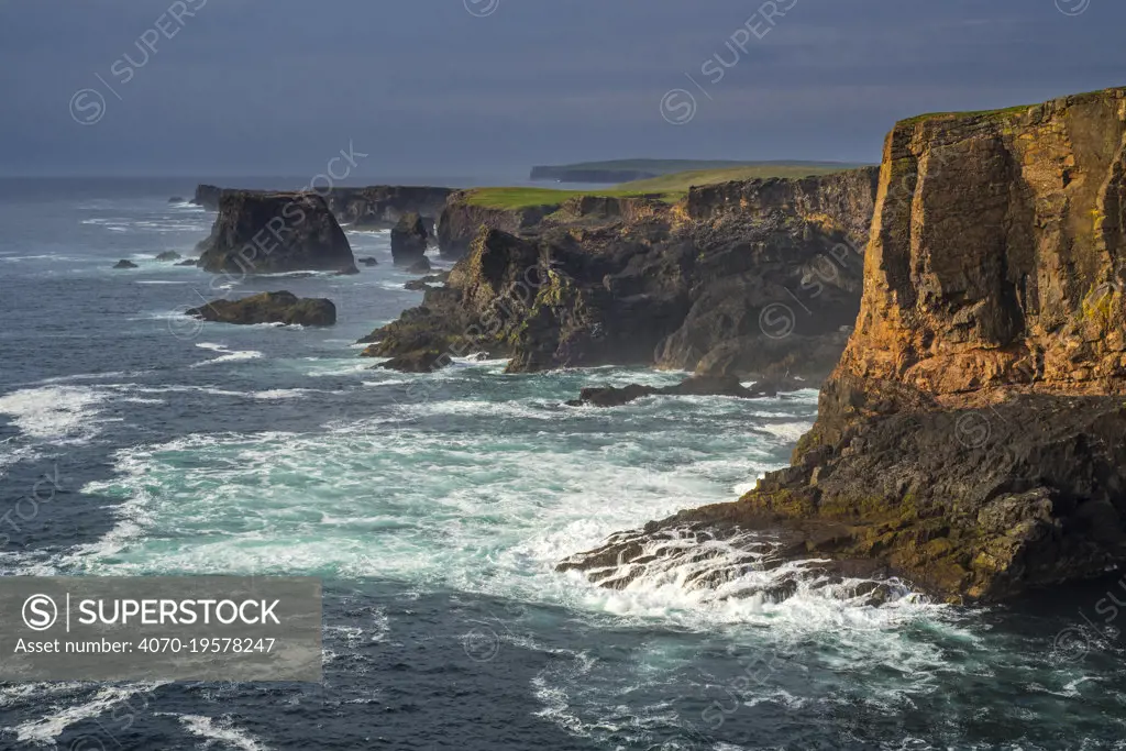 Sea cliffs and stacks at Eshaness / Esha Ness at sunset during approaching storm in Northmavine, Mainland, Shetland Islands, Scotland, UK, May