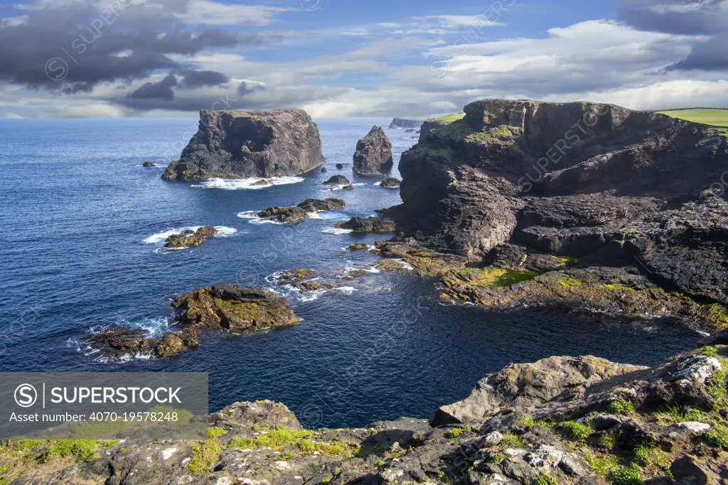 Sea stacks and sea cliffs at Eshaness / Esha Ness, Peninsula, Northmavine, Mainland, Shetland Islands, Scotland, UK, May. Digital composite