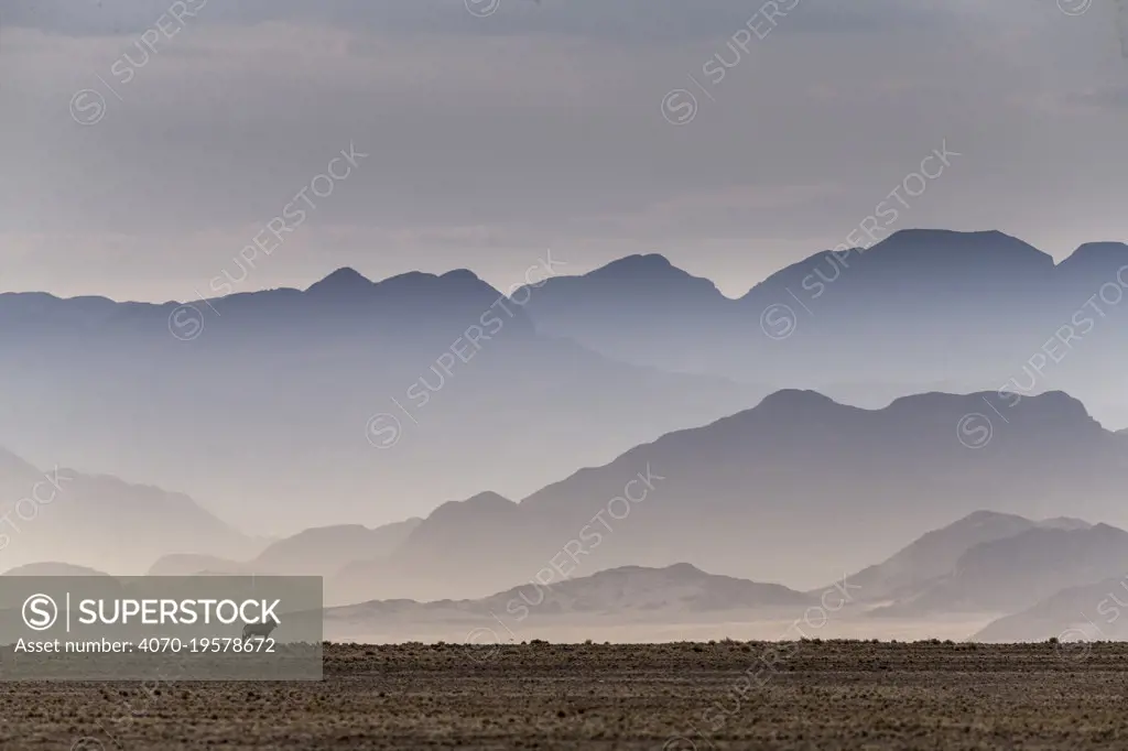 Gemsbok (Oryx gazella) in the Sossusvlei Valley, Namib Desert. Namib-Naukluft National Park, Namibia.