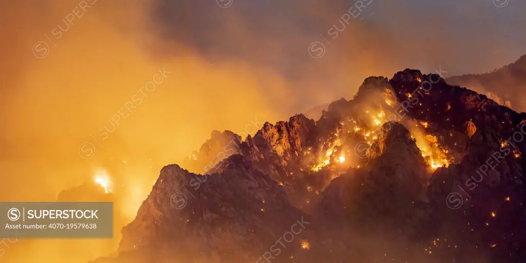 Lightning caused wildfire on Mount Lemmon, Coronado National Forest, Arizona, USA, 11th June 2020.