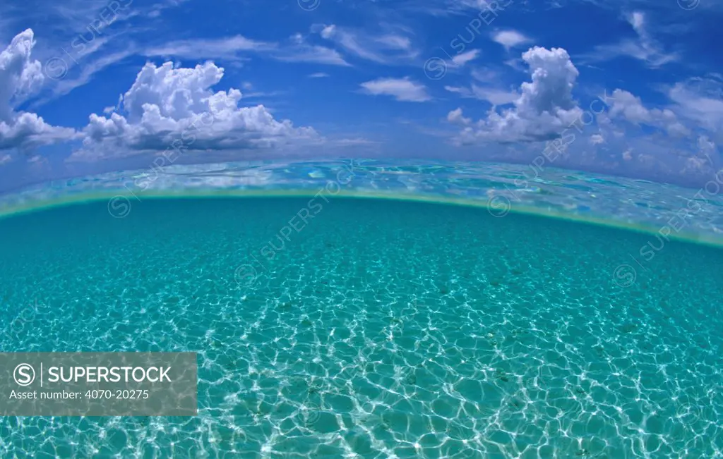 A split level view of shallow water and clouds in summer, Seven Mile Beach, Grand Cayman, Cayman Islands, British West Indies. Caribbean Sea.