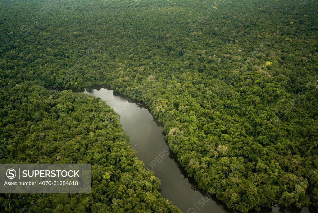 Aerial view of Lago Preto, Amazon Rainforest and lake, Peru - SuperStock