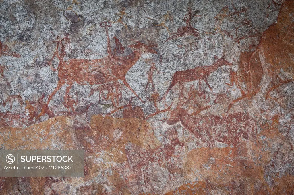 Human figures and wildlife depicted in San bushman rock paintings, estimated at around 2000 years old, Nswatugi Cave, Matobo National Park, Zimbabwe, November 2011.