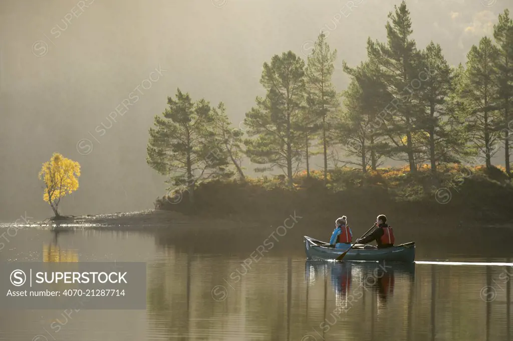 Couple canoeing on Loch Beinn a' Mheadhoin with Birch (Betula pendula) and Scots pines (Pinus sylvestris) on shore, Glen Affric, Highlands, Scotland, November 2014.