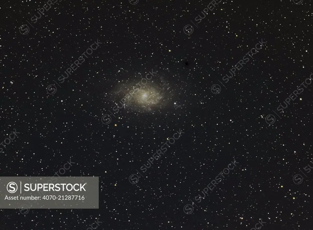 The Pinwheel Galaxy or Triangulum Galaxy (M33), taken 26 September 2014 from eastern Colorado. Taken with digital focus stacking.