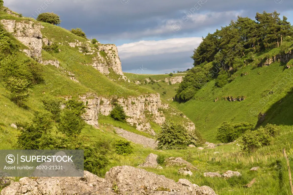 Carboniferous limestone outcrops. Lathkill Dale National Nature Reserve, Peak District National Park, UK, June 2008.