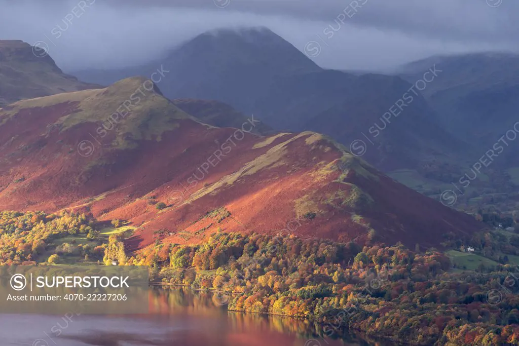 Catbells and the edge of Derwentwater bathed in early morning light and autumnal colours, Latrigg, Keswick, The Lake District, Cumbria, UK. November 2016.