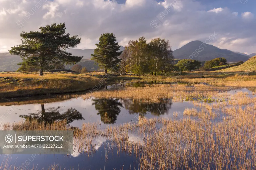 Kelly Hall Tarn, late evening light, The Lake District, Cumbria, UK. October 2016.