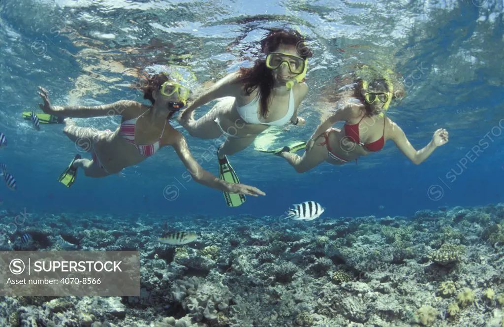 Women and child snorkeling watching fish, Great Barrier Reef, Queensland, Australia