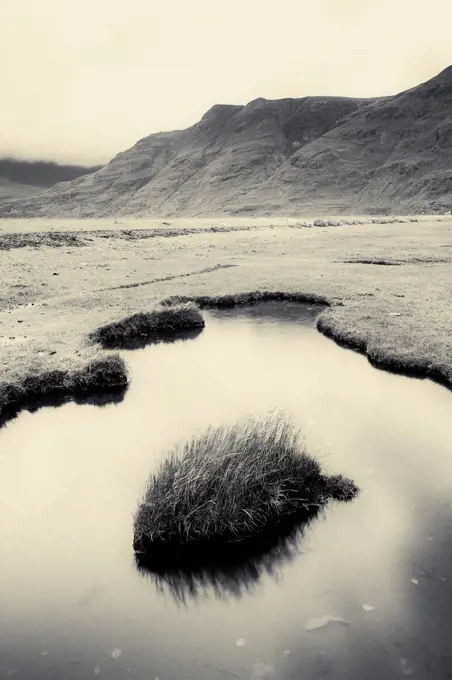 Black and white photograph of saltmarsh at Annat, Beinn Torridon, Scotland, UK, November.