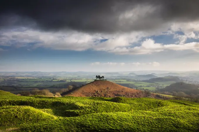 Colmer's Hill, Bridport, Dorset, England, UK. December 2016.