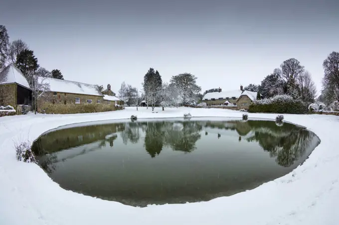Village pond in winter, Ashmore, Cranborne Chase, Dorset, England, UK, March.