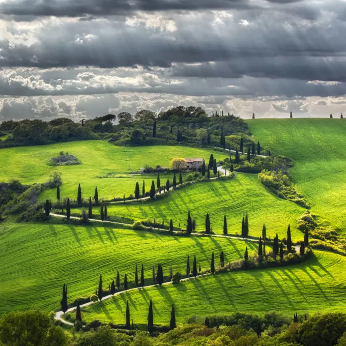 Landscape of farmland with Cypress trees, Tuscany, Italy. May 2019.