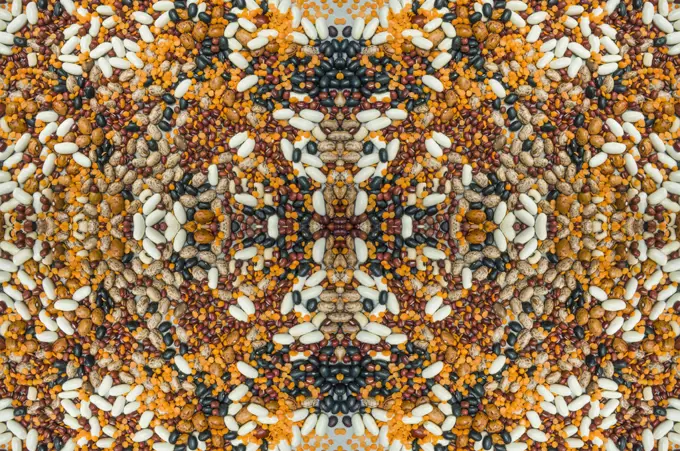 Kaleidoscopic image of a variety of pulses.
