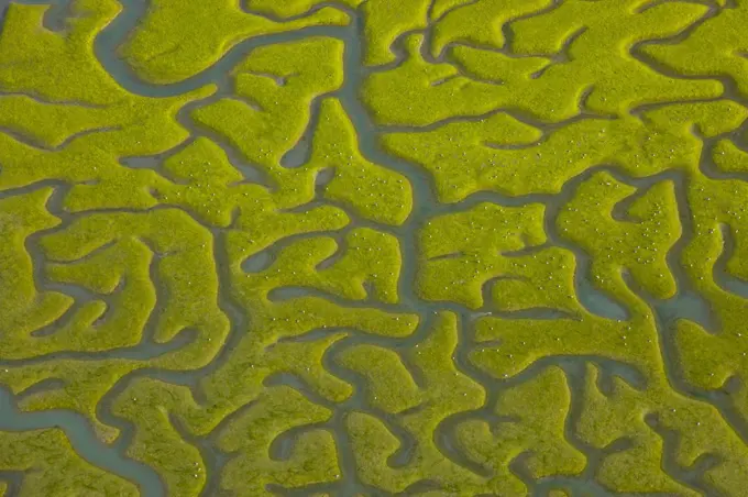 Aerial view saltmarshes of Bahia de Cadiz Natural Park, Huelva, Andalucia, Spain, March 2008 