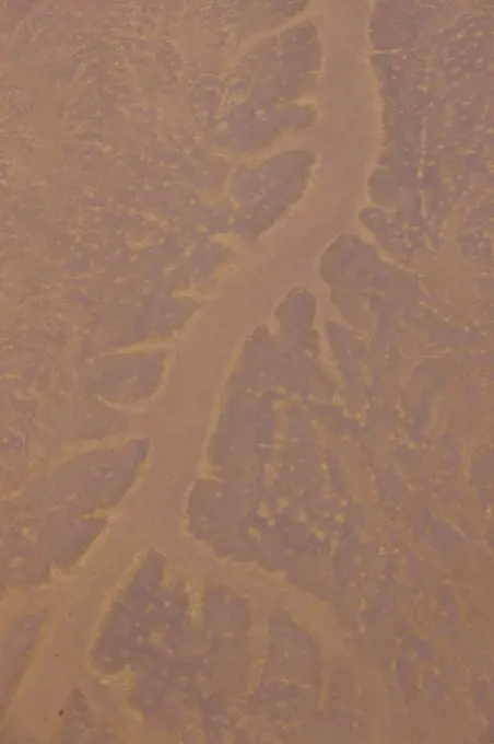 Aerial view dry river bed in the Namib desert, Sossusvlei, Sesriem, Namibia, August 2008