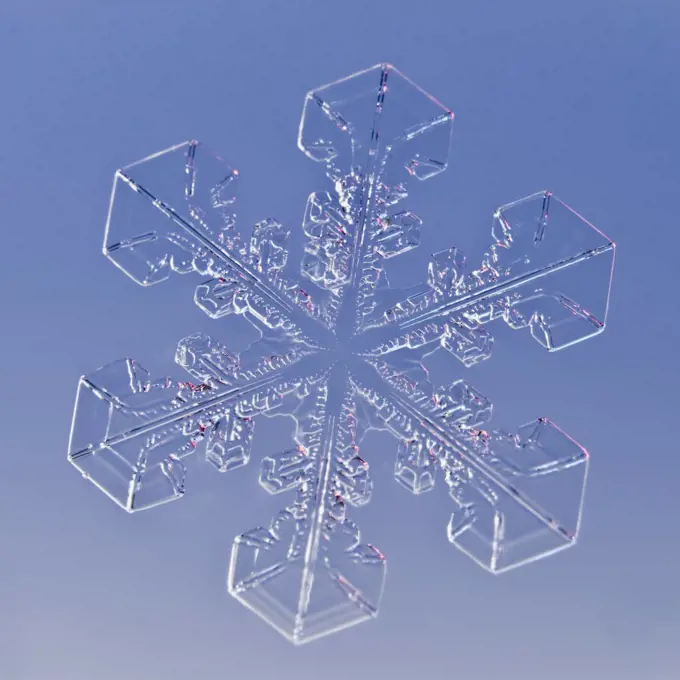 Snowflake magnified under microscope, Lilehammer, Norway