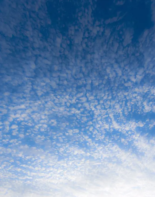 Alto cumulus clouds. Angus, Scotland, August 2012.