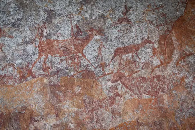 Human figures and wildlife depicted in San bushman rock paintings, estimated at around 2000 years old, Nswatugi Cave, Matobo National Park, Zimbabwe, November 2011.