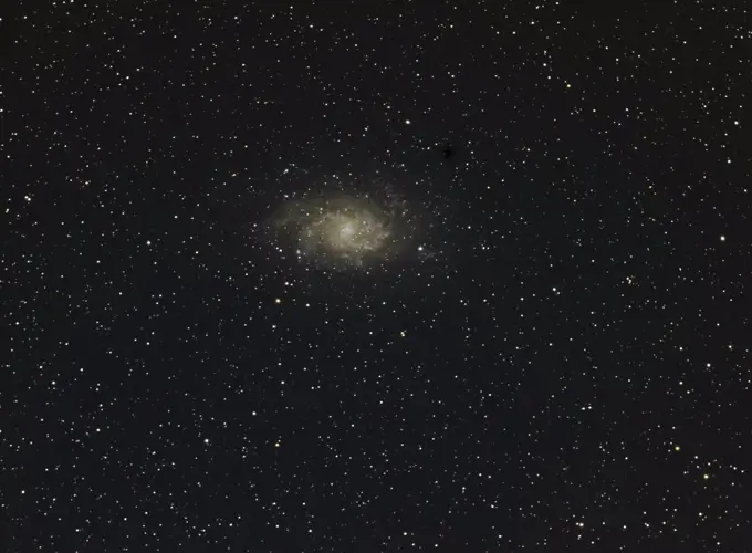 The Pinwheel Galaxy or Triangulum Galaxy (M33), taken 26 September 2014 from eastern Colorado. Taken with digital focus stacking.