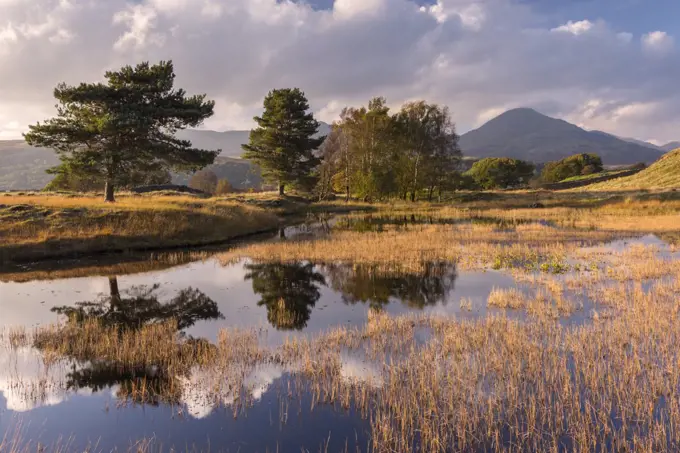 Kelly Hall Tarn, late evening light, The Lake District, Cumbria, UK. October 2016.