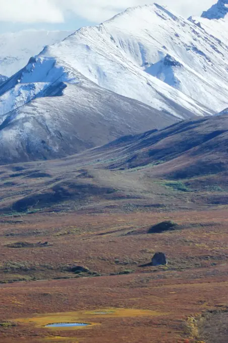 Kettle pond and erratic boulder (glacial features) on tundra, Denali NP, Alaska, USA