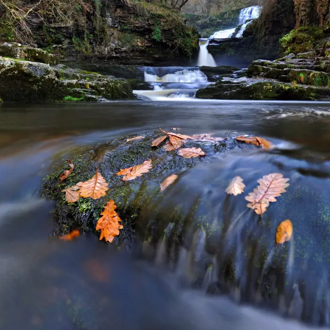 Sgwd Isaf Clun-gwyn waterfall and rapids. Ystradfellte, Brecon Beacons National Park, Wales, November 2011.