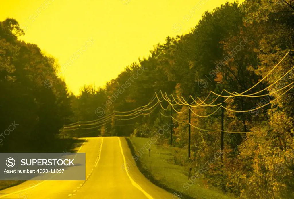 telephone poles,street