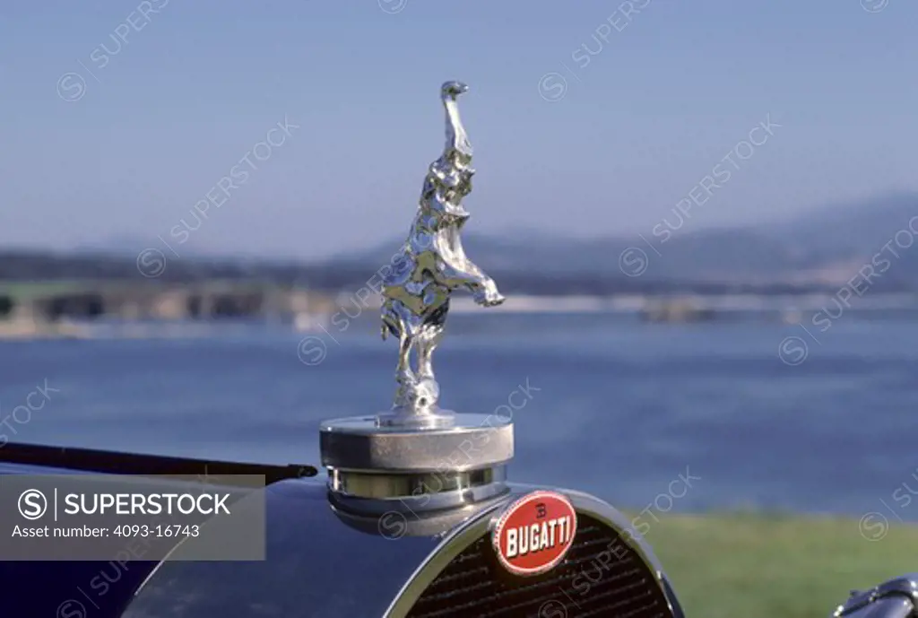 Bugatti Royale Type 41 beauty detail elephant hood ornament. The Bugatti Type 41, better known as the Royale, is one of the most extreme luxury cars ever built. It was enormous, with a 4300 mm (169.3 in) wheelbase and 6.4 m (21 ft) overall length. It weighed approximately 3175 kg (7000 lb) and used a massive 12.7 L (12763 cc/778 in¬) straight-8. All six production Royales still exist (the prototype was sadly destroyed in an accident in 1931), and each wears a different body, some having been re