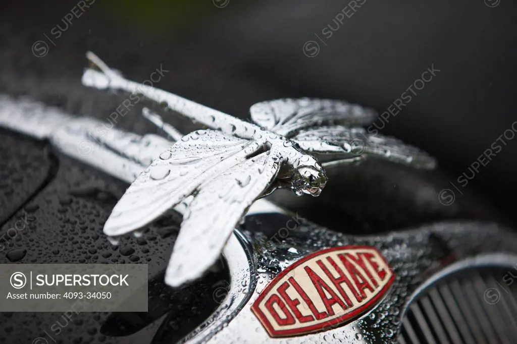 Detail view of a vintage Delahaye dragonfly hood ornament