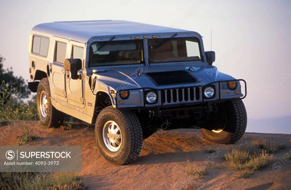 Hummer H1 2001 silver