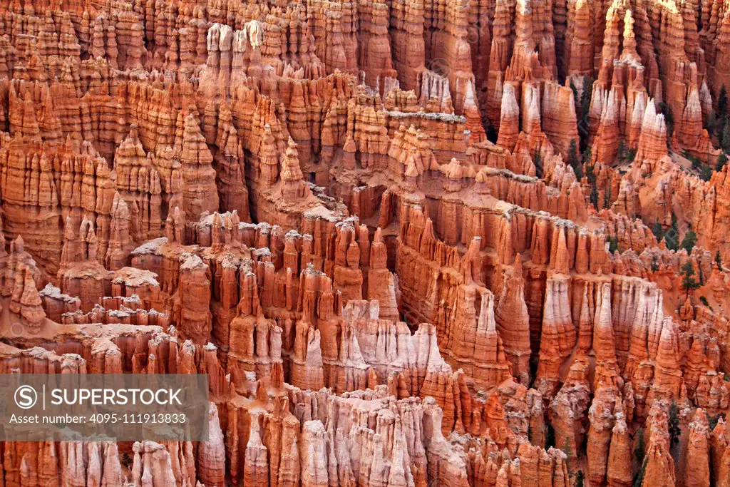 Hoodoos in Bryce Canyon.