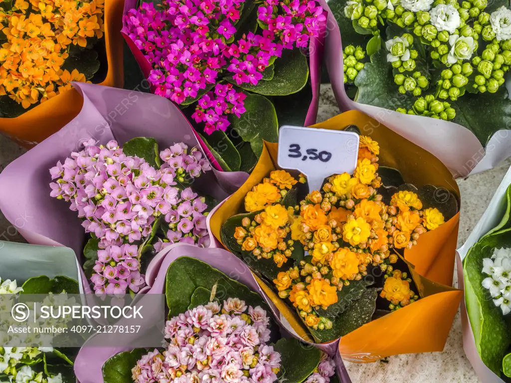 Street flower shop in Paris, France