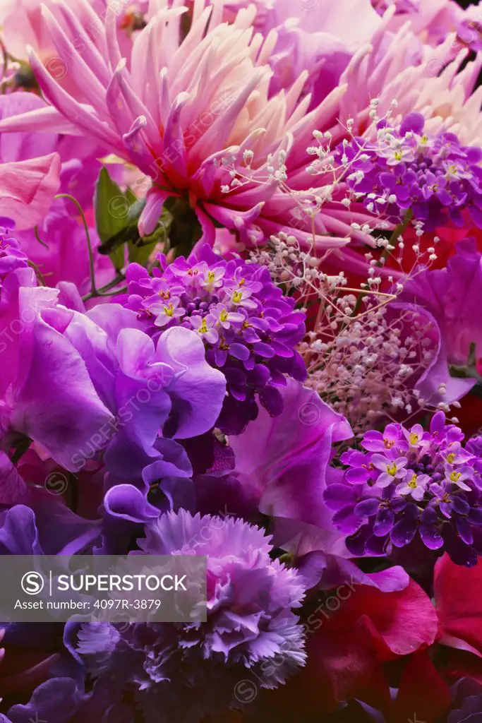 Close-up of pink bouquet