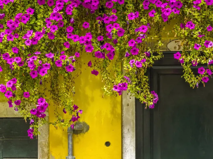 Street scenes in Venice, Italy