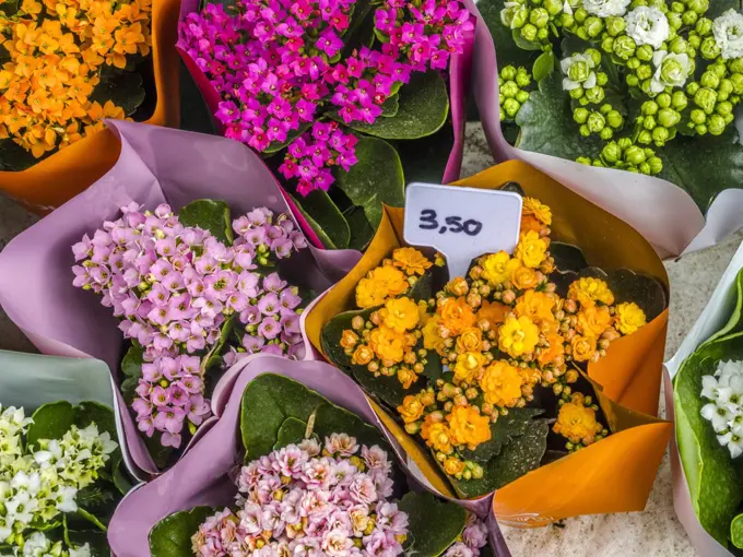 Street flower shop in Paris, France