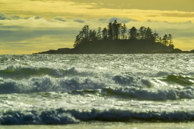 Shoreline along Pacific Rim National Park, Canada