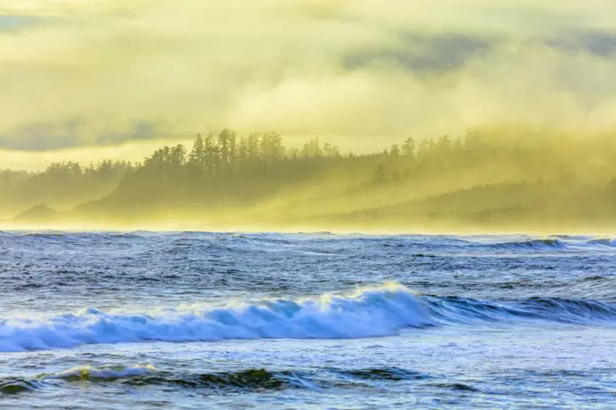 Shoreline along Pacific Rim National Park, Canada