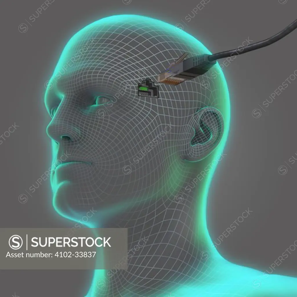 Diagram showing a LAN cable entering a socket on the side of a human head.