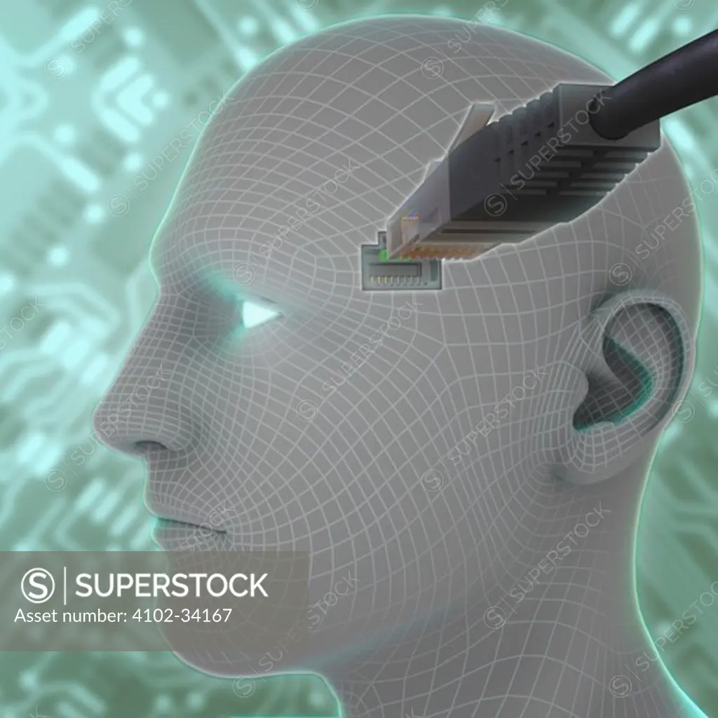 Diagram showing a LAN cable entering a socket on the side of a human head.