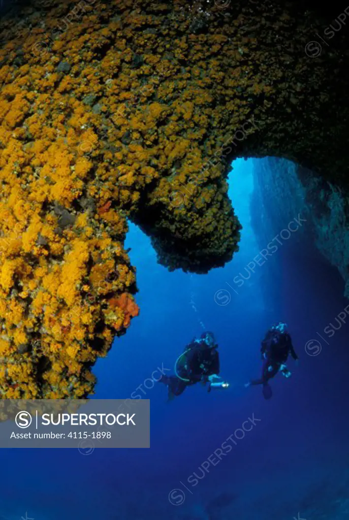 Two divers at the entrance of Grotta della Madonnina (The cave of the small Madonna), Sardinia. The walls in the entrance are completely covered with orange Asteroides Calycularis.