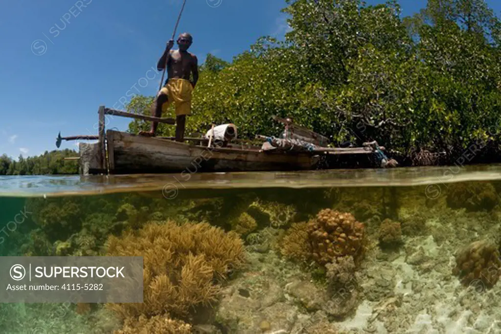 West Papuan man with a fishing spear in a dugout canoe by the mangroves. North Raja Ampat, West Papua, Indonesia, February 2010