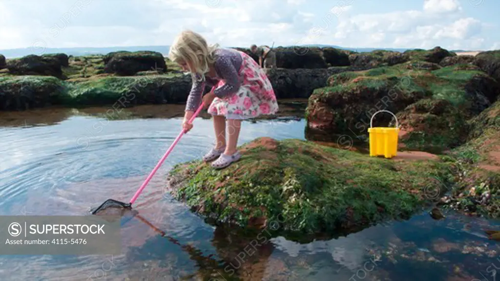 Young girl fishing in a tidepool on Exmouth Beach, Devon, UK, September 2009, Model released.